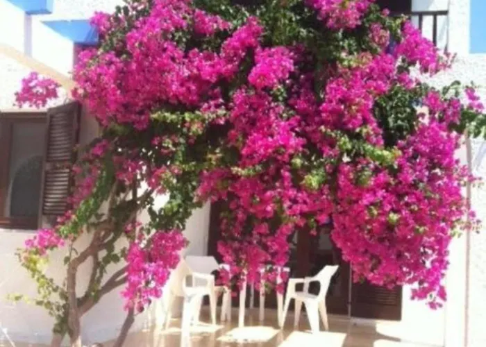 דירה Estudios Blue Beach By Escape Home קאלה אן פורקאט