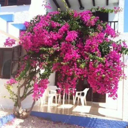 Lägenhet Blue By Escape Cala en Forcat